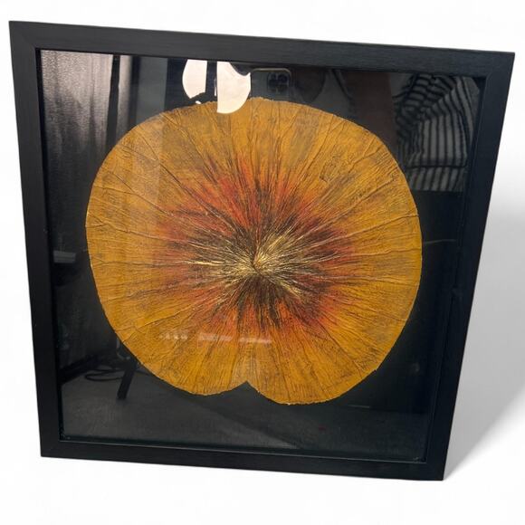 Uttermost Set of 2 Botanical Framed Shadow Box Wall Art Dried Lotus Flowers - Picture 2 of 10